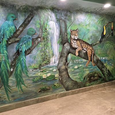 Animales de jungla mural.